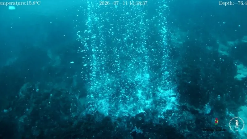Panarea Reveals Vast Underwater Crater and Active Hydrothermal Vents
