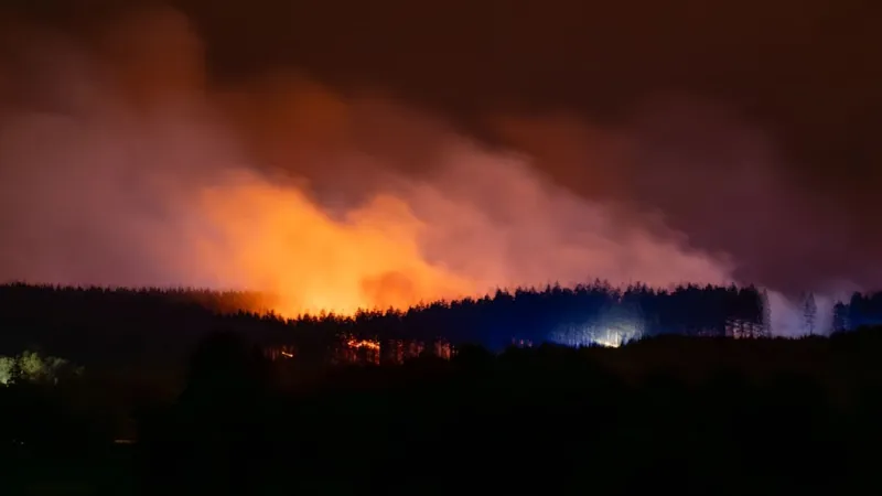 German Border Town Braces for Evacuation As Wildfire Spreads