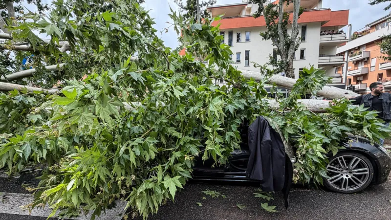 Rare Tornado Strikes Rome: Trees Down, Market Stall Hits Car
