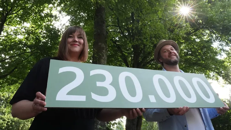 Hamburgs Green Lungs: Priceless Street Trees Drive Up City Costs