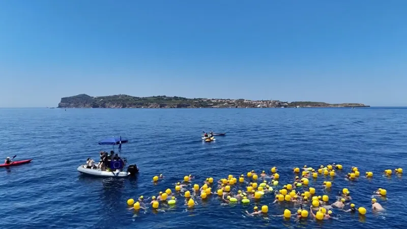 Ventotene's Natalonga: 100 Swimmers Brave Open Sea for European Ideal