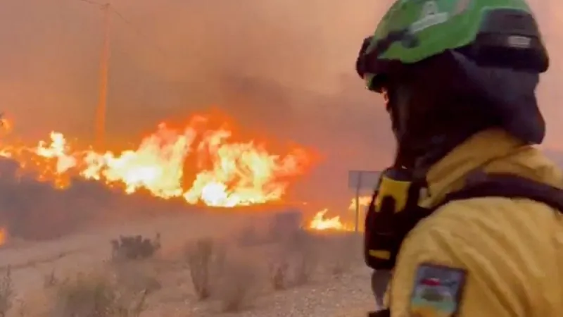 Andalusia Inferno: Twelve Dead As Wildfire Rages Amid Spain Heat Alert
