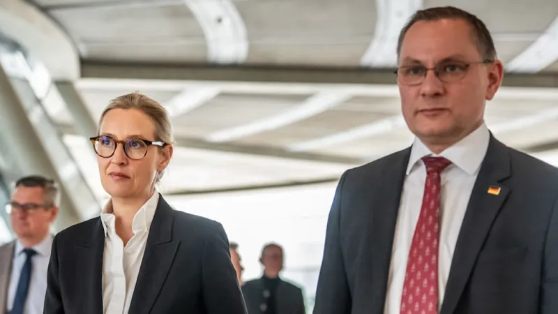Ex-Spy Chief Warns Against 'Backdoor' AfD Ban in Local Elections