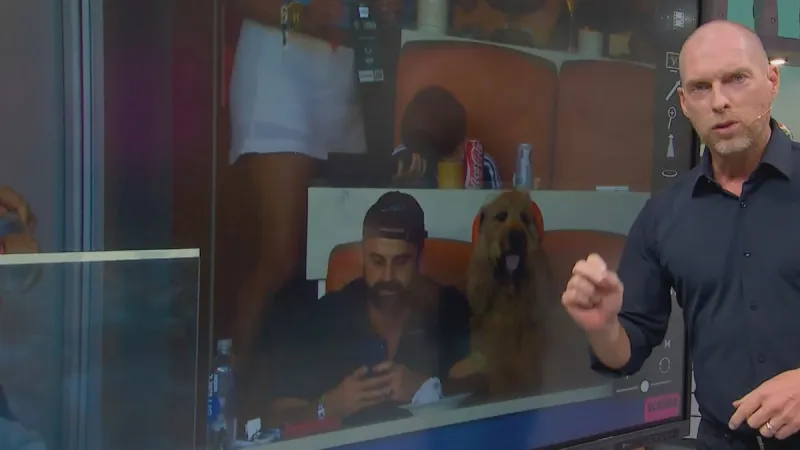 TV Analyst Spots VIP Dog During Argentina Match Review