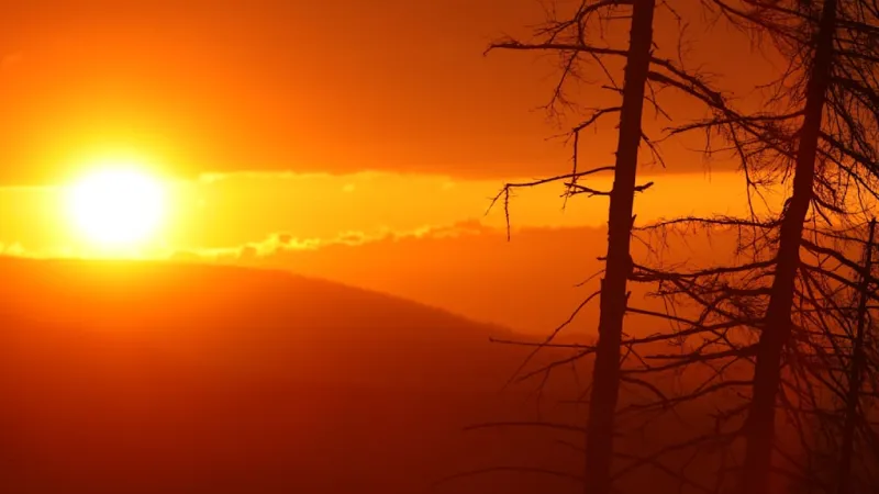 Longest Day Myth Busted: Why Latest Sunset Misses Solstice
