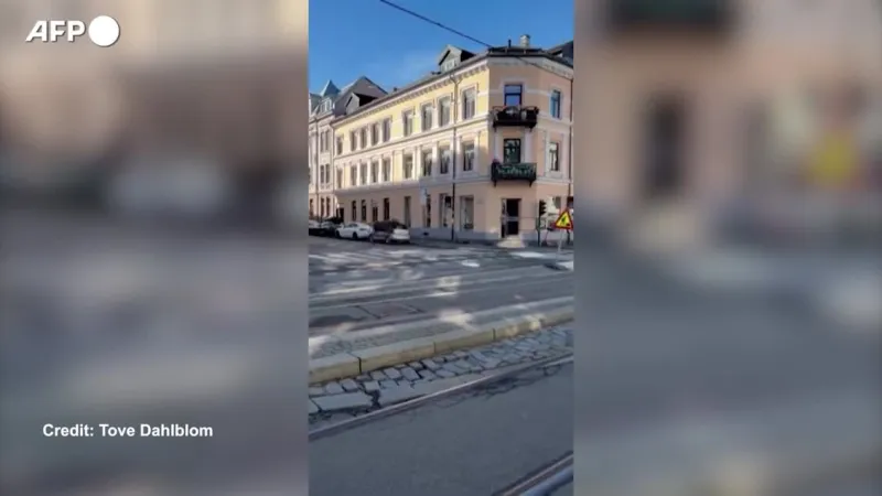 Disoriented Moose Euthanized in Downtown Oslo for Public Safety
