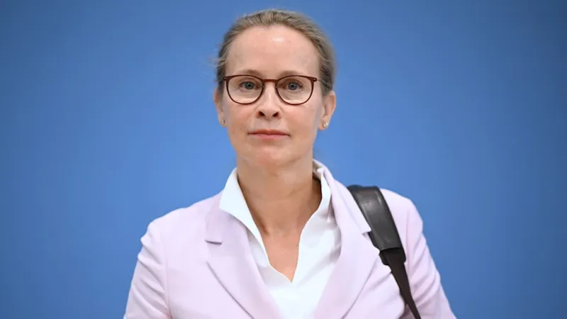 AfD Welcome Baby Bonus Plan Sparks Constitutional Alarm, Expert Warns
