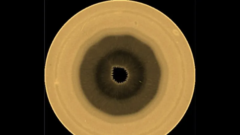 Saturn's South Pole Reveals Massive Decagon, Echoing Northern Hexagon