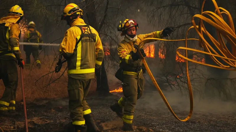 Bordeaux Inferno: Firefighters Battle Blaze Swallowing Area Larger Than Cologne