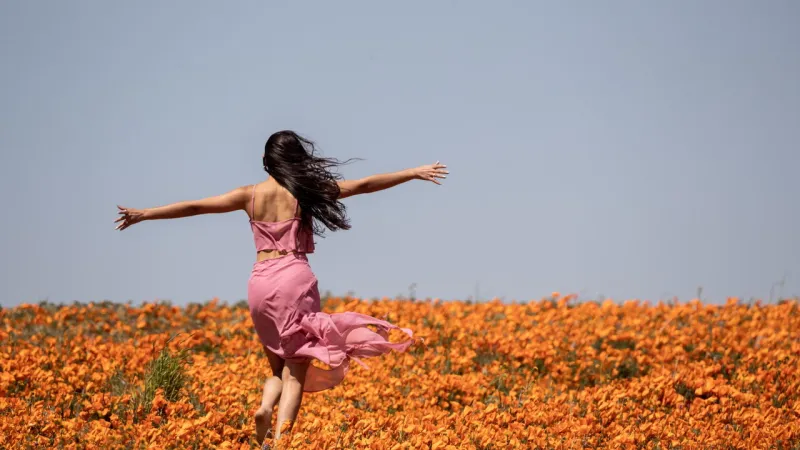 Menopause Reimagined: Campaign Seeks to Transform a Third of Life
