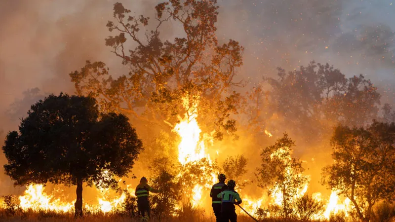 Wildfires Engulf Silver Screen: Disaster Films Reflect Global Crisis