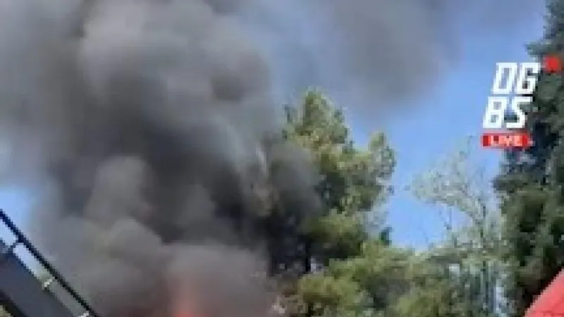 Gardaland Roller Coaster Blaze Doused, Park Operations Unaffected