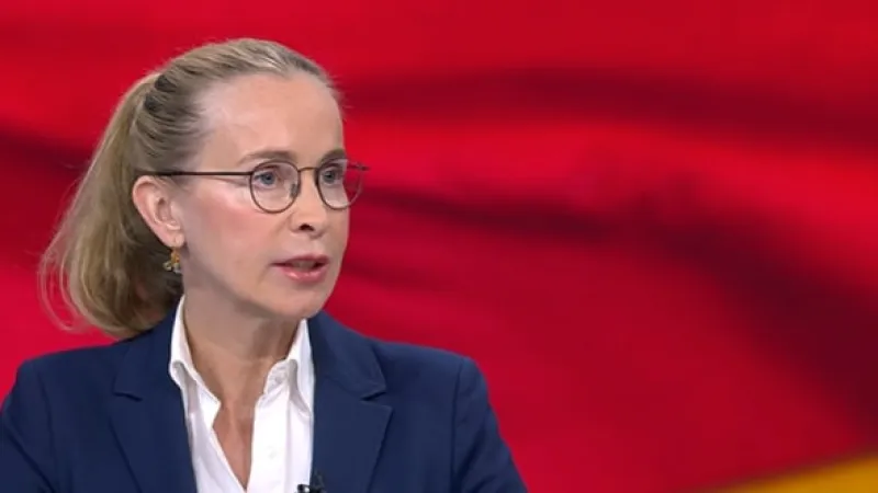 German Legal Expert Challenges Surrogacy Ban, Cites Child Rights