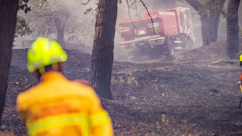 Massive Venray Wildfire Sends Smoke Plumes Across German Border