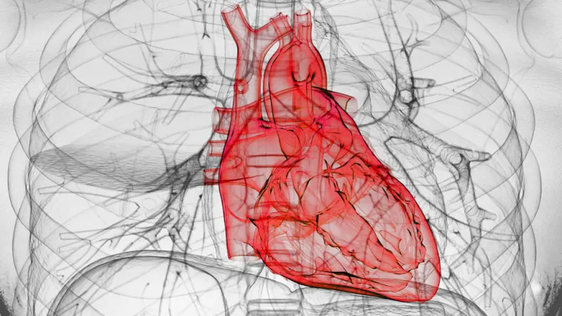 Chronic Stress Induces Silent Heart Damage, Researchers Discover
