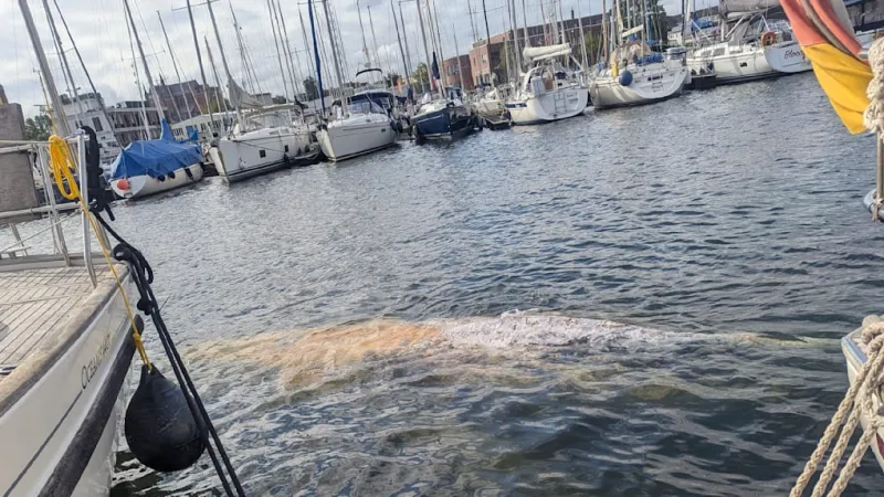 Wismar Harbor Welcomes Back Vital Whale Amid Police Monitoring