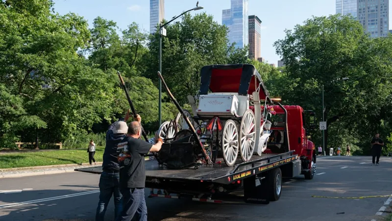 Central Park Horse Carriage Tragedy: Teenager Dies After Being Thrown
