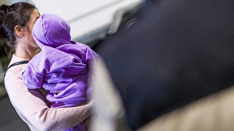 Germany's Asylum Landscape Shifts: Fewer Applicants, Higher Approval