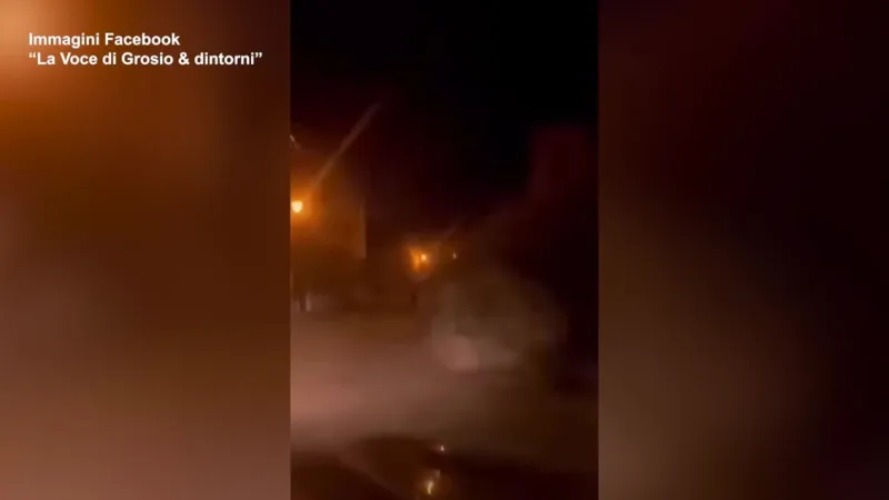 Bear Caught on Camera Sprinting Through Valtellina Streets at Night