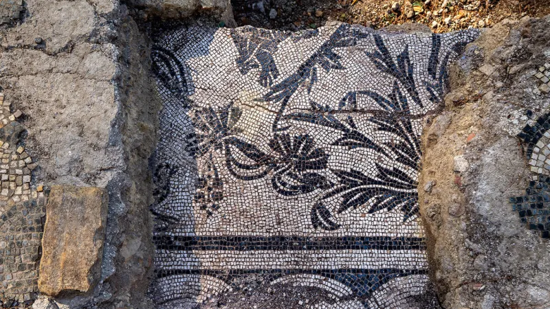 Stunning Dolphin Mosaics Emerge from Ancient Roman Fire Station in Rome