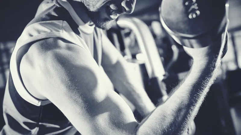Muscle Anti-Aging Ally Discovered, Promising for Humans and Pets
