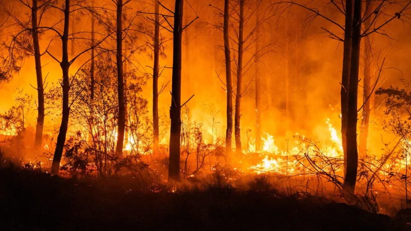 Wildfires Force Mass Evacuations: Over 220,000 Flee France and Spain