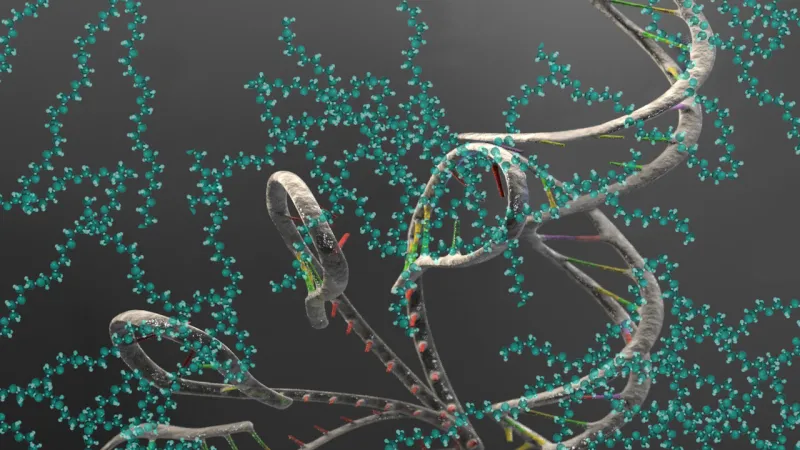 RNA Therapies Spark New Hope for Cystic Fibrosis, Muscular Dystrophy