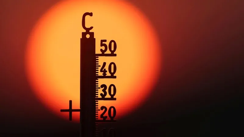 Germany Braces for Scorching 40-Degree Heatwave As Southwest Bakes