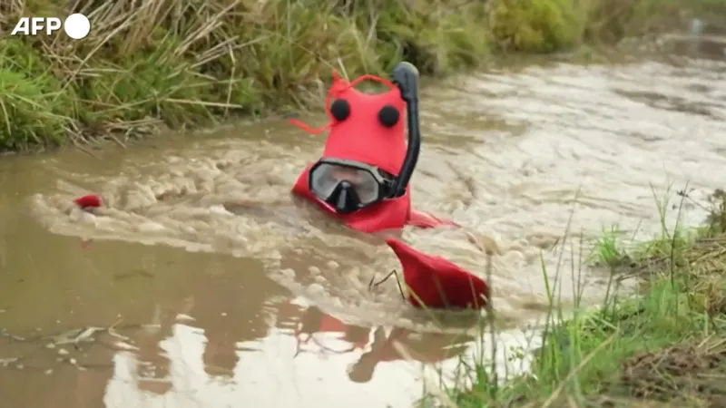 Bog Snorkeling World Championship: 40 Years of Murky Mayhem in Wales