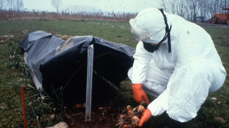 Seveso at 50: from Toxic Cloud to Unforeseen Renewal