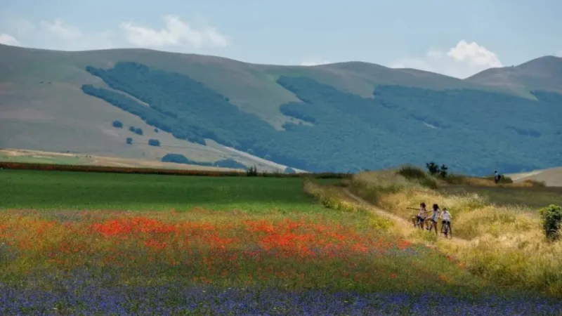 Umbria's Cycling Renaissance: Nature, Villages, and Centuries of History Await