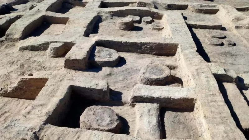 Royal Stele, Buried Horse Reveal New Kingdom Secrets Near Alexandria