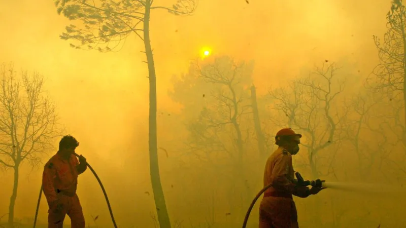 Wildfires Engulf France and Spain, Nearly 300,000 Flee Inferno