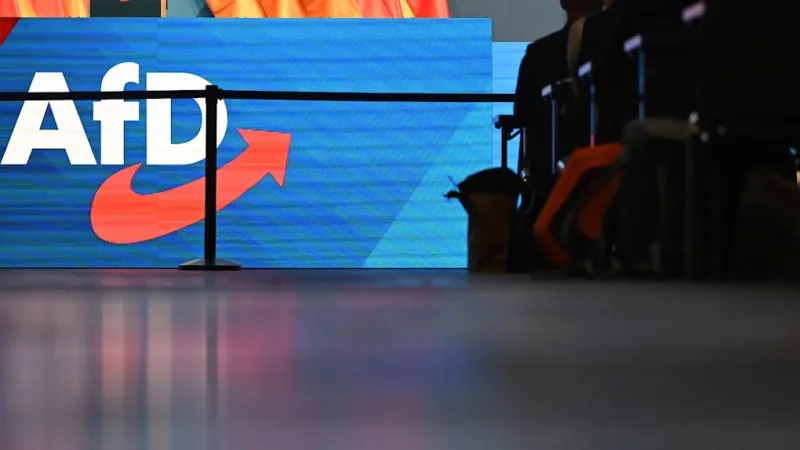 German Election Boards Challenge AfD Candidates' Constitutional Loyalty