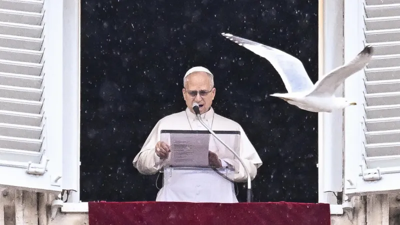 Pope Francis Warns: Polarization and Contempt Imperil Global Peace