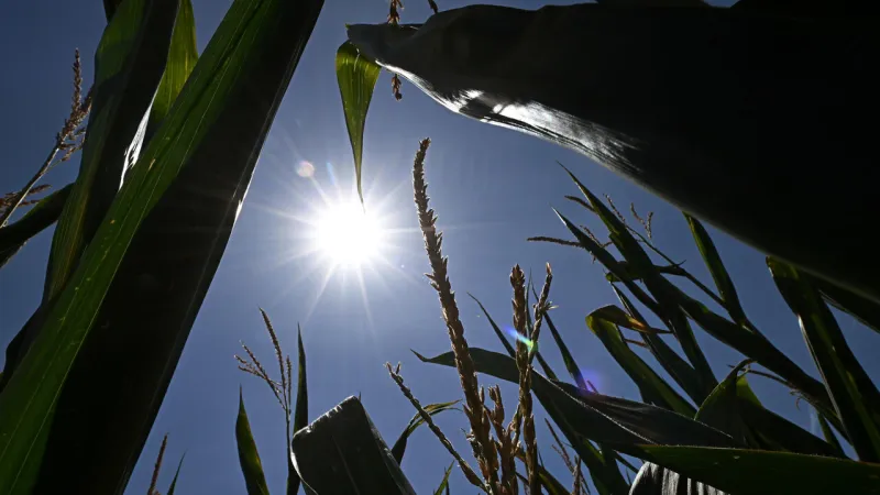 Sardinia Braces for 43C Heat As Third Wave Grips Italy