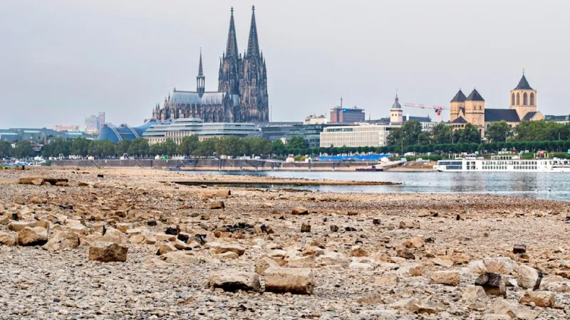 Cologne Breathes Easy: Rhine Riverbed Wildfire Risk Dismissed by Experts