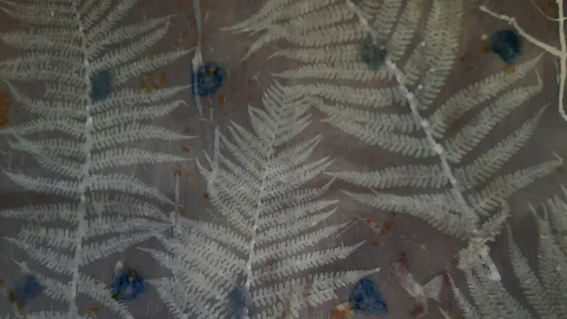 Silk Meadows Exhibit Captivates, Weaving Forest Spirit Into Fabric Art