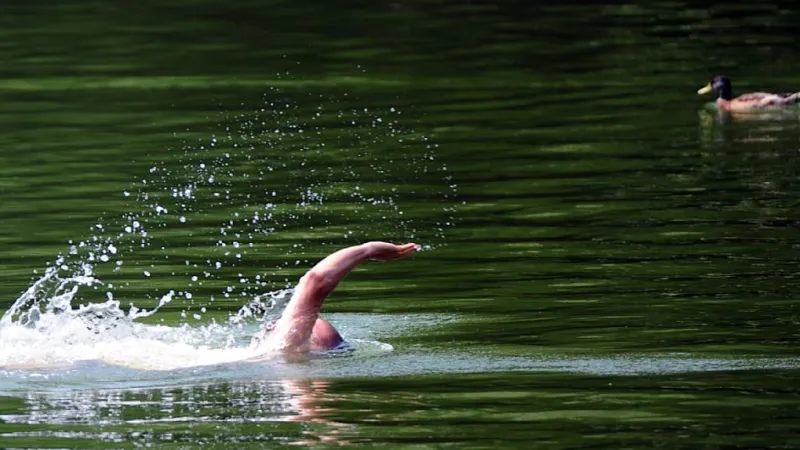 Berlin Bureaucracy Battles Nudists, Trash Can Ballot Sparks Outcry