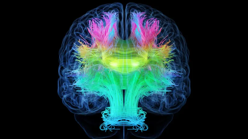 Sleep Deprivation Drives Neuron Overgrowth, Alters Brain Chemistry