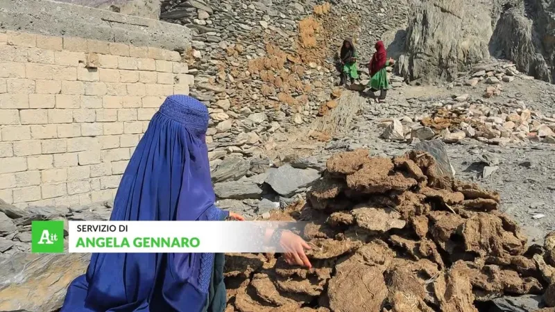 Afghanistan Project Sows Hope for Women, Families After Crises