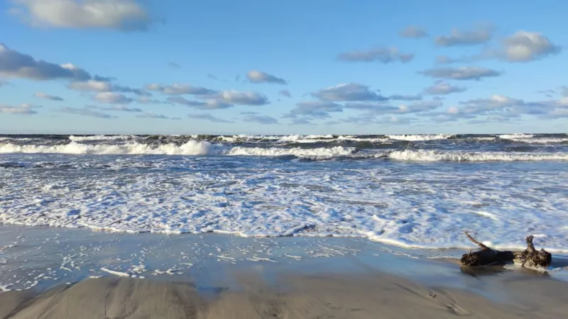 German Tourist Drowns in Baltic Sea Amid Dangerous Conditions