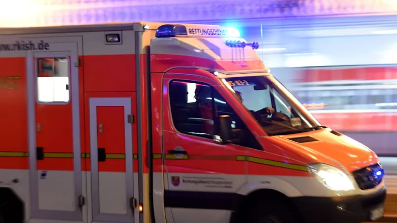 Hamburg Child Barely Survives Collapse in Overheated Car