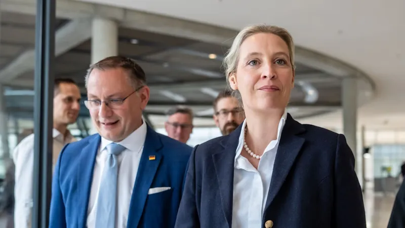 AfD Ascends in German Polls: Expert Urges Democratic Poise