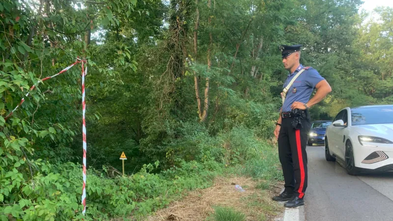 Good Samaritan Killed: Mistaken Identity Claims Life of Man Helping Stranger