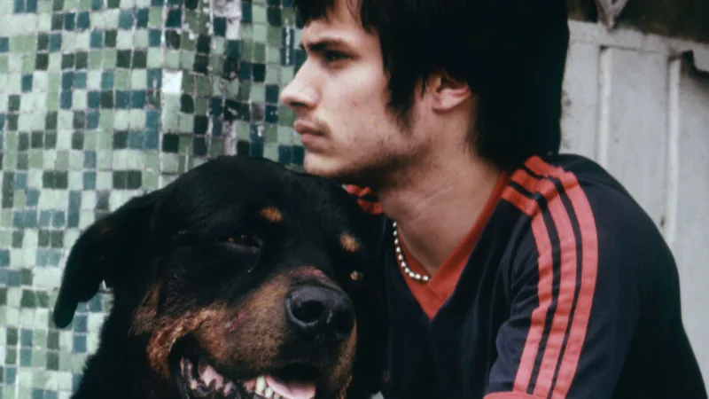 Restored Amores Perros Streams on Mubi; Inarritu Recalls Bertolucci Revelation