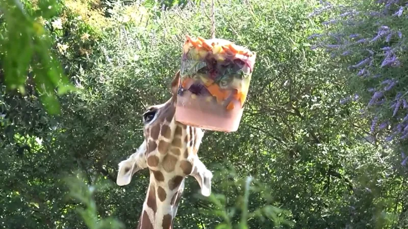 Rome Biopark Deploys Innovative Cooling Measures for Animals Amidst Heatwave