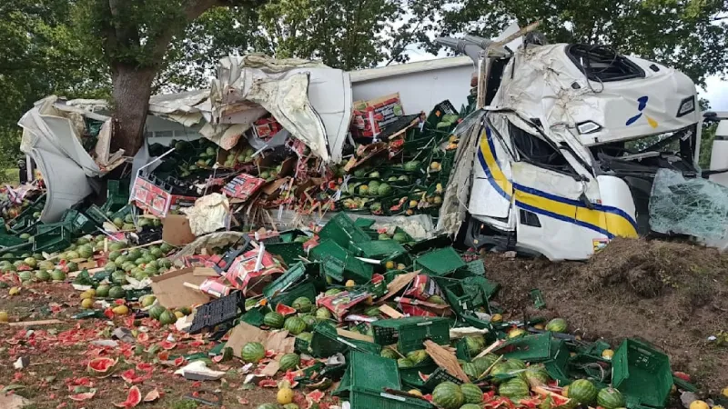 Astonishing 4.09 Permille: Driver Wrecks 22-Ton Melon Truck Into Tree