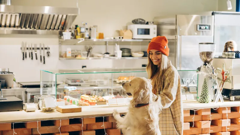 Paris Embraces Dog-First Cafes and Bakeries for Canine Companions