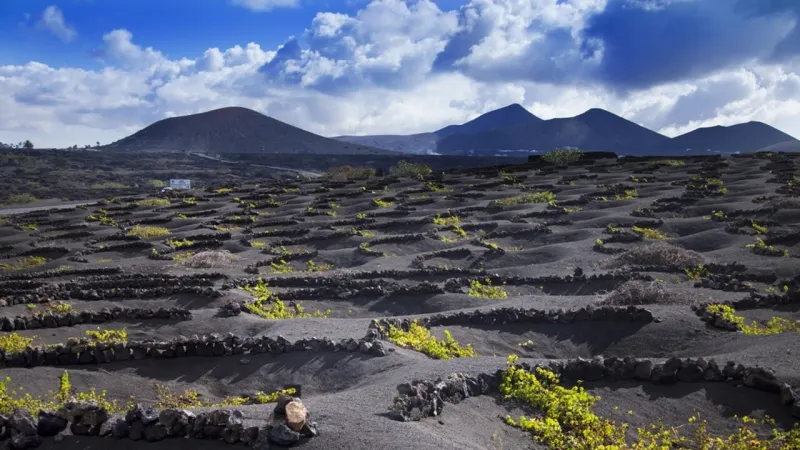 Lanzarote's Volcanic Terroir: Sustainable Cuisine Gains FAO Global Recognition